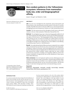 Non-random patterns in the Yellowstone ecosystem: inferences from