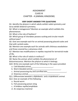 assignment class xi chapter - 4 (animal kingdom)