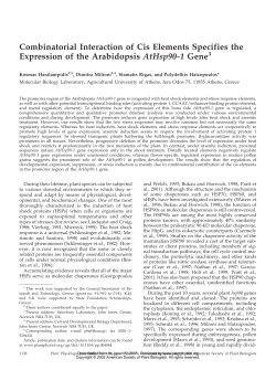 Combinatorial Interaction of Cis Elements