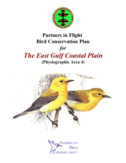 The Eastern Gulf Coastal Plain