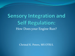 How Does your Engine Run?