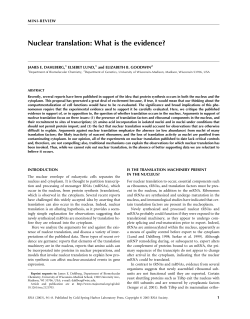 Nuclear translation: What is the evidence?