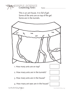 SIMPLE SCIENCE Counting Ants