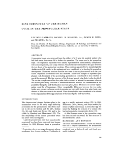 fine structure of the human ovum in the pronuclear