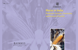 Maize in India