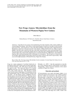 New frogs (Anura: Microhylidae) from the mountains of western