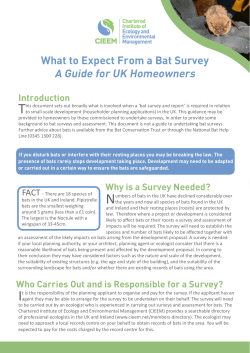 the Bat Survey Guidelines