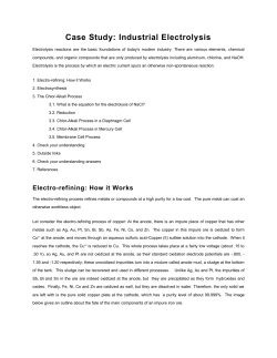 Case Study: Industrial Electrolysis