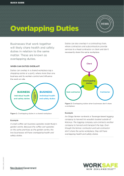 Overlapping Duties: Quick guide