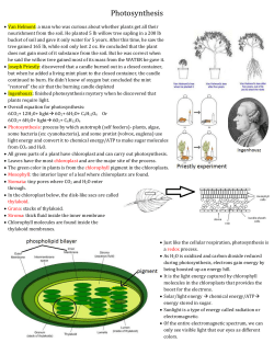 Photosynthesis Review