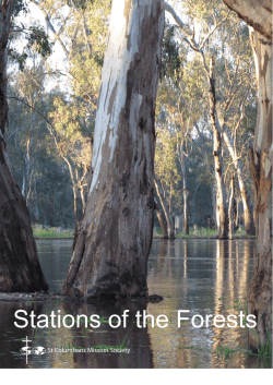 Stations of the Forests - St Columbans Mission Society