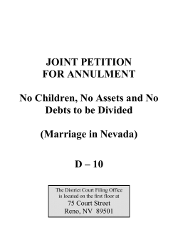 D-10 Joint Petition for Annulment-No Children-No