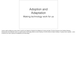Adoption and Adaptation