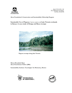 Sustainable Use of Papyrus Cyperus papyrus at Lake Victoria
