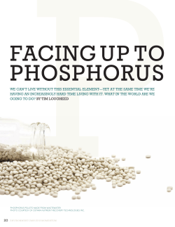 momentum-fall2011-facing-up-to-phosphorus
