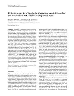 Hydraulic properties of Douglas-fir (Pseudotsuga menziess) bra