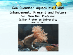 Read the presentation