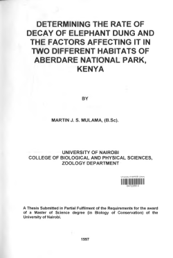Determining the Rate of Decay of Elephant Dung
