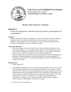 Task Force on Consolidated Government