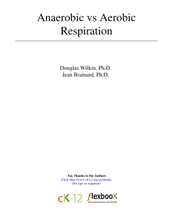 Anaerobic vs Aerobic Respiration