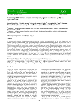 Combining ability between tropical and temperate popcorn lines for