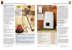 Ladybug: When You Want The Best in Steam