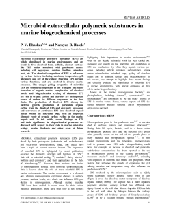 Microbial extracellular polymeric substances in marine