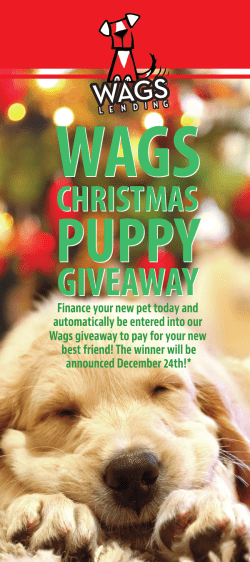 WAGS 4x9 RackCards_2015_xmas_promotion