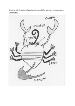 Adaptations of an Alien Arthropod