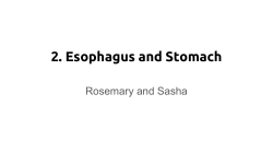 2. Esophagus and Stomach - HBS