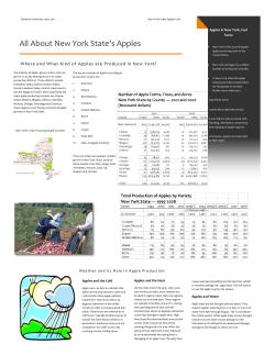 All About New York State`s Apples
