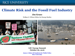 Climate Risk and the Fossil Fuel Industry