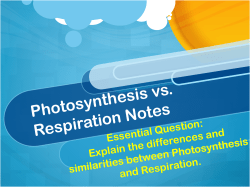 Photosynthesis vs. Respiration Notes