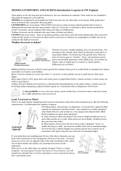 MOSSES LIVERWORTS AND LICHENS-Introduction to species in