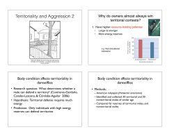 Territoriality and Aggression 2