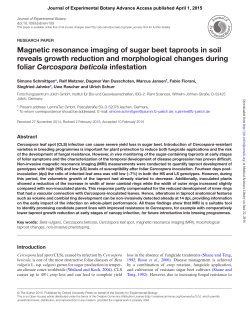 Magnetic resonance imaging of sugar beet taproots in soil reveals