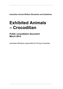 Exhibited Animals – Crocodilian