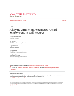 Allozyme Variation in Domesticated Annual Sunflower and Its Wild