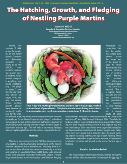 The Hatching, Growth, and Fledging of Nestling