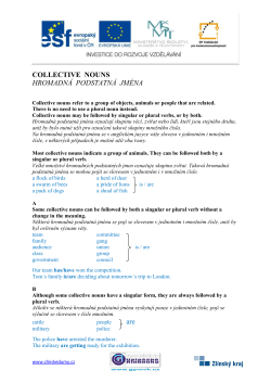 COLLECTIVE NOUNS HROMADN&Aacute; PODSTATN&Aacute; JM&Eacute;NA are