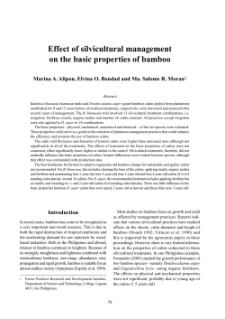 Effect of silvicultural management on the basic properties of bamboo