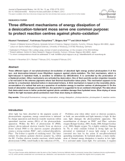 changes in DNA Three different mechanisms of energy dissipation