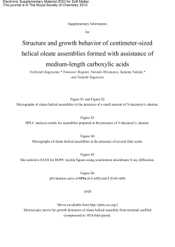 Structure and growth behavior of centimeter