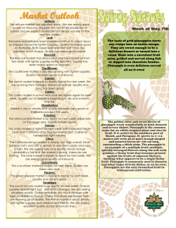 Market Outlook - Thomas O. Miller