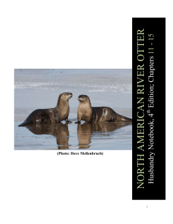 Section 3 - IUCN Otter Specialist Group