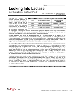 Looking Into Lactase
