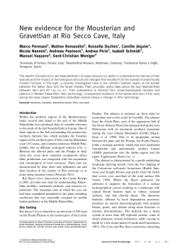 New evidence for the Mousterian and Gravettian at Rio