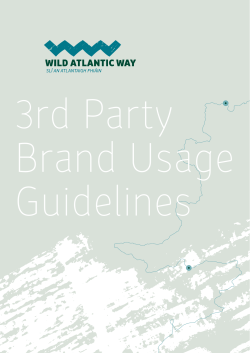 the guidelines governing trademark use