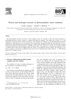 Proton and hydrogen currents in photosynthetic water oxidation