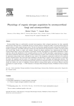 Physiology of organic nitrogen acquisition by ectomycorrhizal fungi